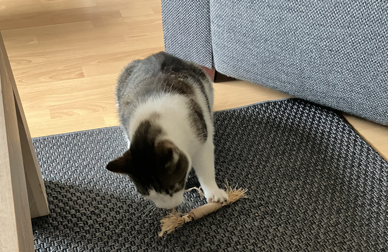 A stick