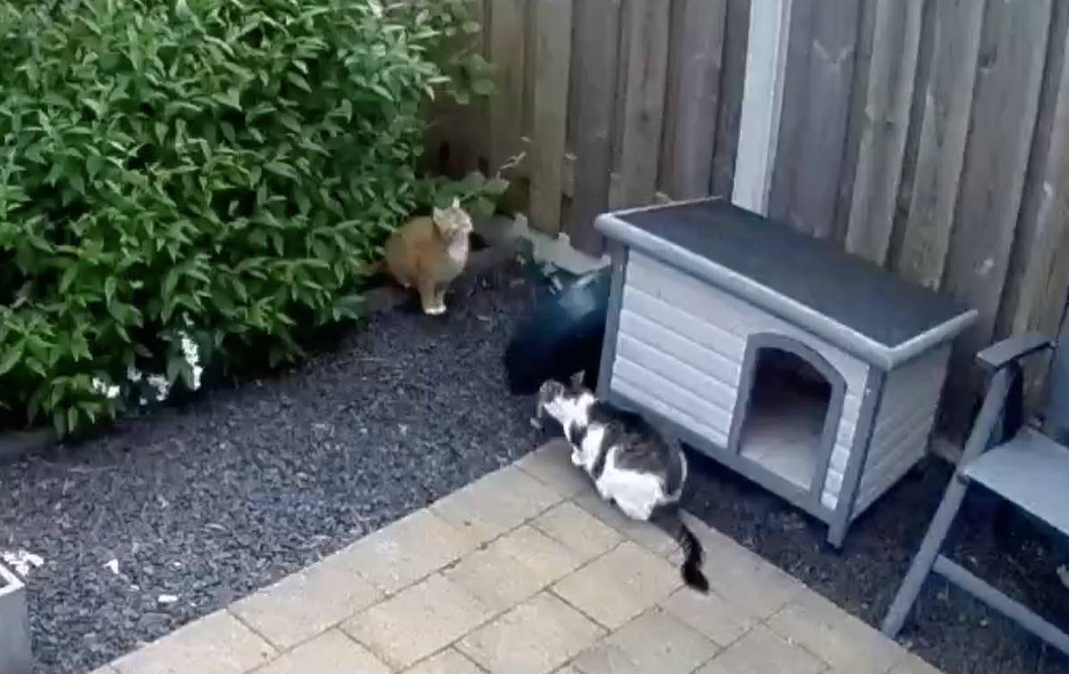 Training day